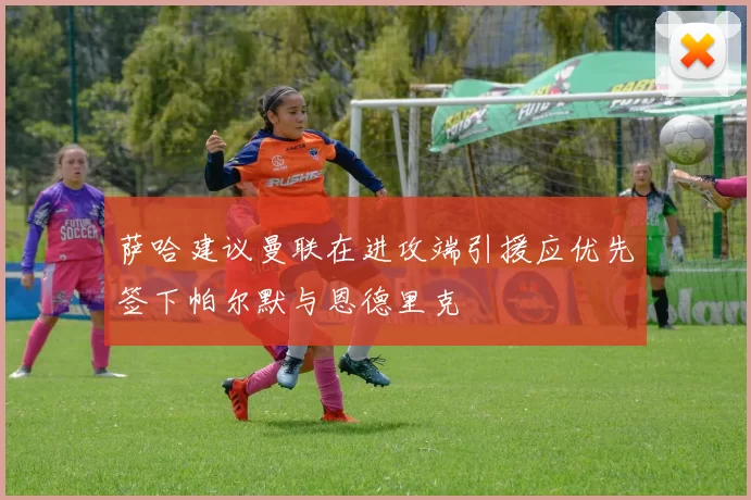 萨哈建议曼联在进攻端引援应优先签下帕尔默与恩德里克
