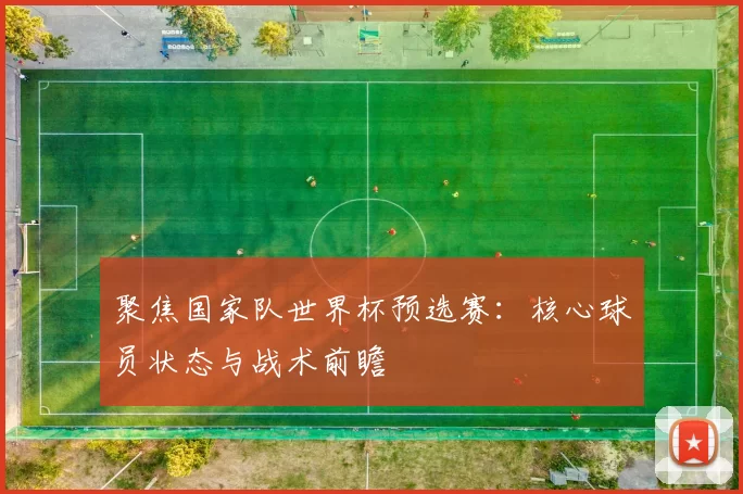 聚焦国家队世界杯预选赛：核心球员状态与战术前瞻