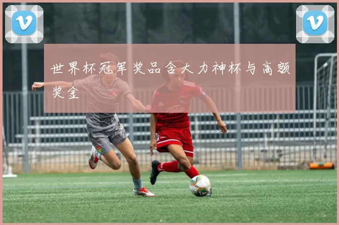 世界杯冠军奖品含大力神杯与高额奖金