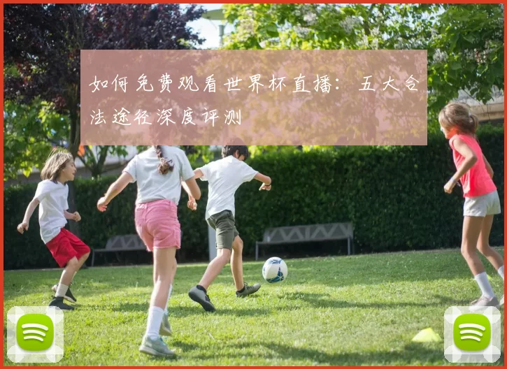 如何免费观看世界杯直播：五大合法途径深度评测