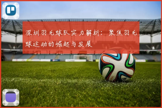 深圳羽毛球队实力解析:聚焦羽毛球运动的崛起与发展