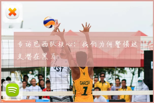 专访巴西队核心:我们为何警惕这支潜在黑马