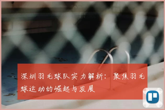 深圳羽毛球队实力解析:聚焦羽毛球运动的崛起与发展