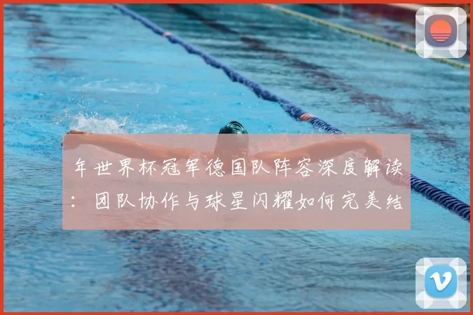 年世界杯冠军德国队阵容深度解读：团队协作与球星闪耀如何完美结合
