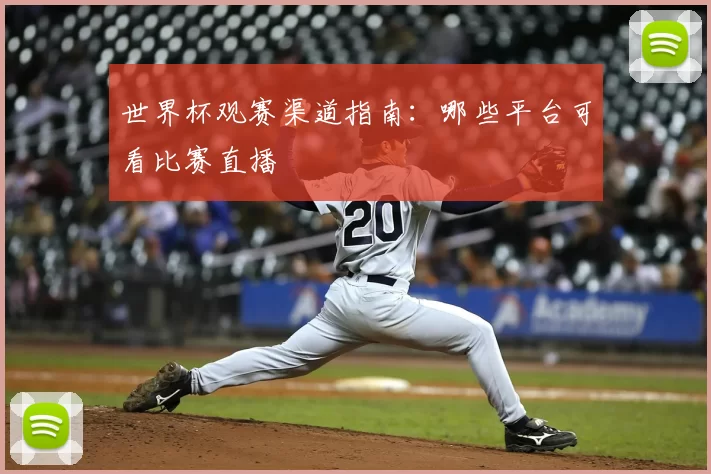 世界杯观赛渠道指南：哪些平台可看比赛直播