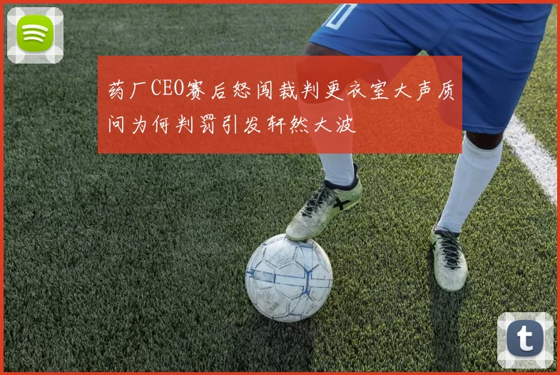 药厂CEO赛后怒闯裁判更衣室大声质问为何判罚引发轩然大波