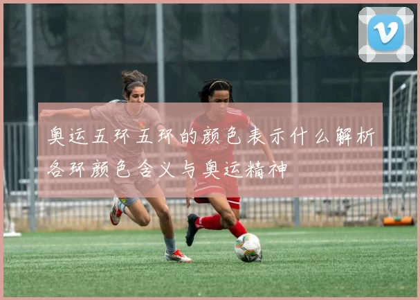 奥运五环五环的颜色表示什么解析各环颜色含义与奥运精神