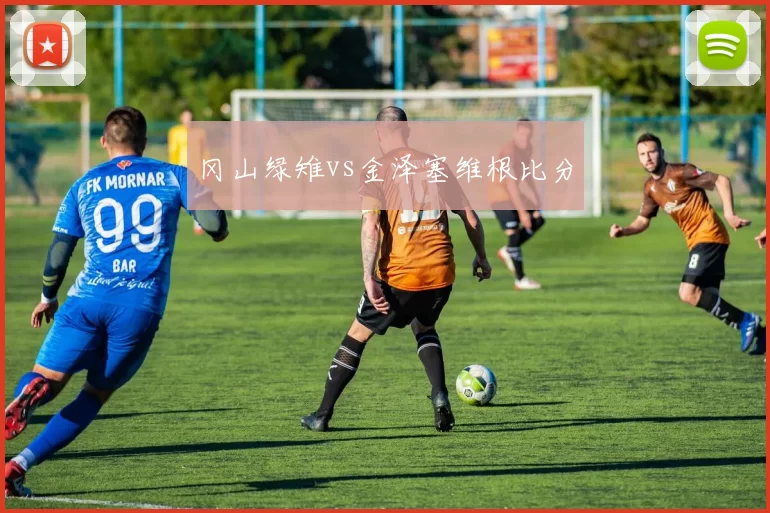 冈山绿雉vs金泽塞维根比分