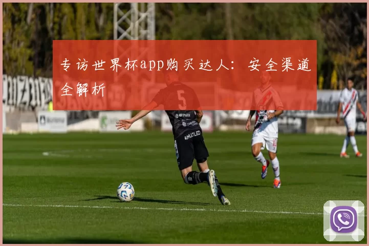 专访世界杯app购买达人：安全渠道全解析